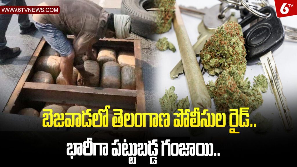 24 Telangana police caught 731 kilo ganja worth 2.19CR : బెజవాడలో తెలంగాణ పోలీసుల రైడ్.భారీగా పట్టుబడ్డ గంజాయి.