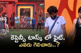 Who won the fight in the captaincy task
