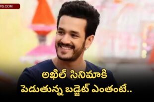 What is Akkineni Akhil's film under which banner? What is Akhil's budget for the film?
