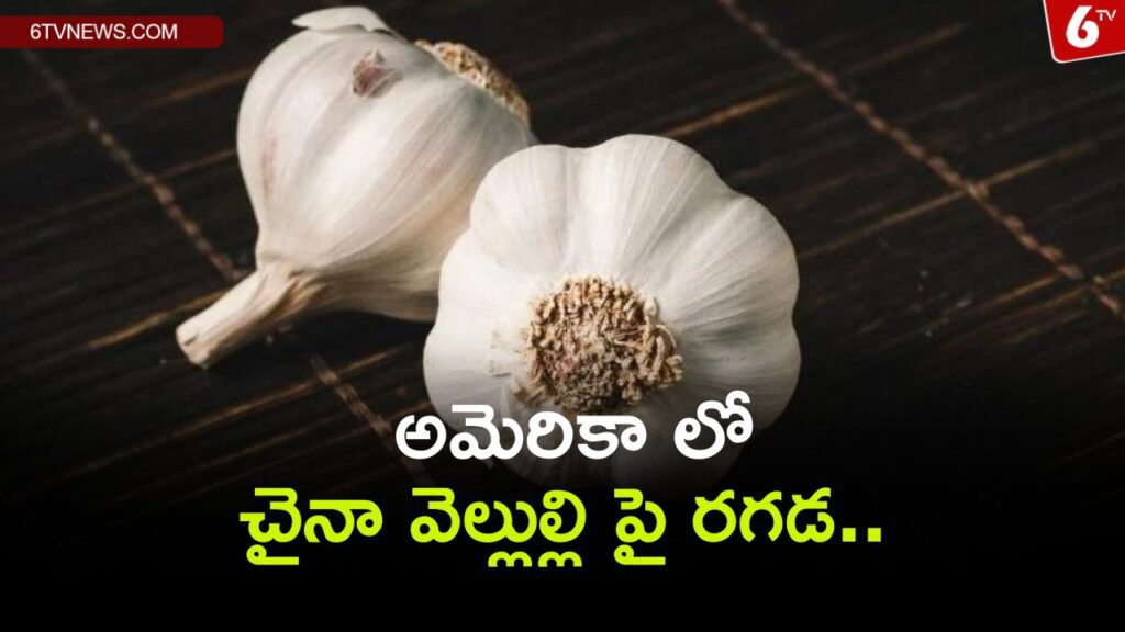 t is alleged that Chinese garlic is being used in America..unclean cultivation.