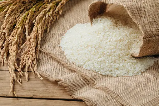 istockphoto 872343048 170667a ఇక సామాన్య ప్రజలకి అందుబాటులోకి వచ్చిన భారత్ రైస్ : Bharat Rice Available for Everyone.